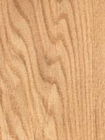 Oak semi-tangential