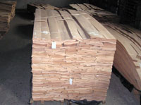 View of the pallet beech