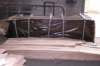 View of the pallet beech